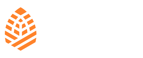 Verdova logo